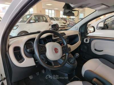 Fiat Panda Panda 1.3 MJT 95 CV S&S Lounge Bianco usata MONTE URANO