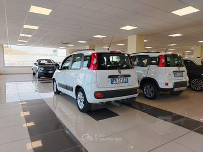 Fiat Panda Panda 1.3 MJT 95 CV S&S Lounge Bianco usata MONTE URANO