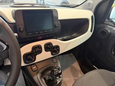 Fiat Panda 1.0 FireFly 70cv S&S Hybrid Pandina Nero usata Salerno