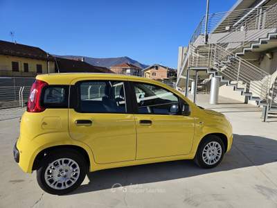 Fiat Pandina Pandina 1.0 firefly hybrid Pop s&s 65cv con BONUS EASY GO' Giallo usata Bruino