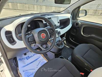 Fiat Pandina Pandina Cross 1.0 firefly hybrid s&s 65cv con BONUS EASY GO' Bianco usata Bruino