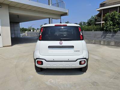 Fiat Pandina Pandina Cross 1.0 firefly hybrid s&s 65cv con BONUS EASY GO' Bianco usata Bruino