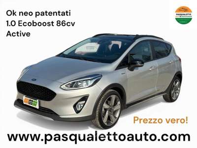 Ford Fiesta Active 1.0 Ecoboost Start&Stop Argento usata VENEZIA