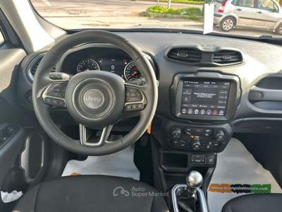 Jeep Renegade 1.0 T3 Limited Argento usata VENEZIA
