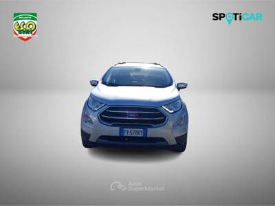 Ford EcoSport 1.0 EcoBoost 100 CV Business Grigio usata Cassino