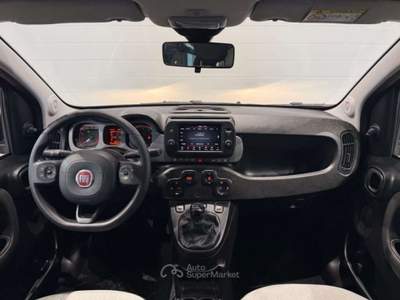 Fiat Panda Cross 1.0 FireFly Mild-Hybrid NEOPATENTATI/PREZZO Rosso usata San Biagio di Callalta