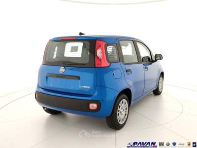 Fiat Pandina Panda 1.0 FireFly 65 CV Hybrid Icon Blu/Azzurro usata Piove di Sacco