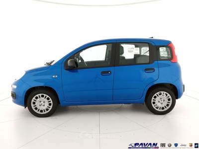 Fiat Pandina Panda 1.0 FireFly 65 CV Hybrid Icon Blu/Azzurro usata Piove di Sacco