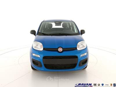 Fiat Pandina Panda 1.0 FireFly 65 CV Hybrid Icon Blu/Azzurro usata Piove di Sacco