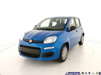 Fiat Pandina Panda 1.0 FireFly 65 CV Hybrid Icon Blu/Azzurro usata Piove di Sacco