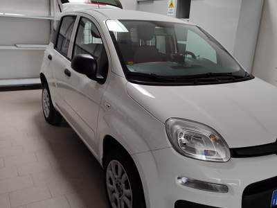 Fiat Panda UNICO PROPREITARIO NON FUMATORE, VENDO CAUSA UNITILIZZO Bianco usata Pesaro