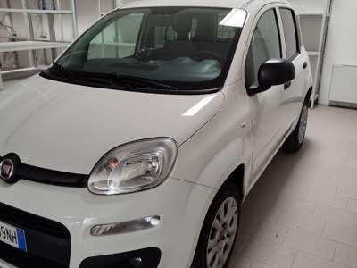 Fiat Panda UNICO PROPREITARIO NON FUMATORE, VENDO CAUSA UNITILIZZO Bianco usata Pesaro