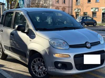 Fiat Panda Fiat Panda ECO GPL Argento usata Somma Vesuviana
