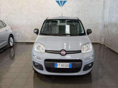 Fiat Panda Panda 1.2 Pop Grigio usata Cornaredo