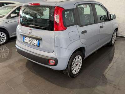 Fiat Panda Panda 1.2 Pop Grigio usata Cornaredo