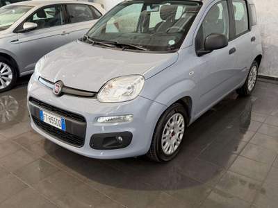 Fiat Panda Panda 1.2 Pop Grigio usata Cornaredo