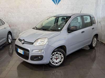 Fiat Panda Panda 1.2 Pop Grigio usata Cornaredo