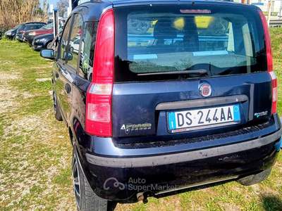 Fiat Panda Unicoproprietatio usata TERNI