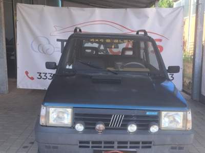 Fiat Panda Fiat Panda 4×4 usata Traversetolo