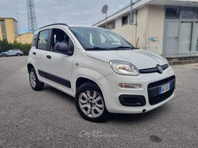 Fiat Panda null usata Barberino di mugello