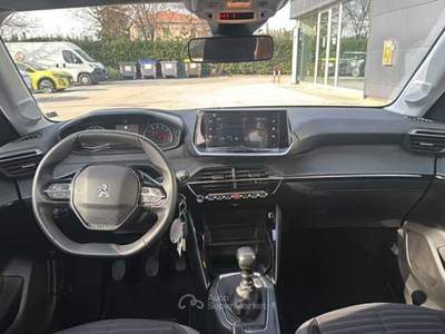 Peugeot 208 PureTech 100 Stop&Start 5 porte Active Pack Bianco usata Foligno