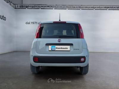 Fiat Pandina 1.0 FireFly 65 CV Hybrid Icon Bianco usata Castagnaro