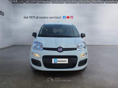 Fiat Pandina 1.0 FireFly 65 CV Hybrid Icon Bianco usata Castagnaro