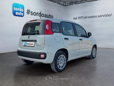 Fiat Pandina 1.0 FireFly 65 CV Hybrid Icon Bianco usata Castagnaro