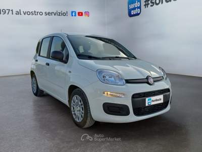 Fiat Pandina 1.0 FireFly 65 CV Hybrid Icon Bianco usata Castagnaro