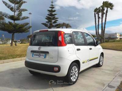 Fiat Panda 1.2 Young Bianco usata Gallipoli
