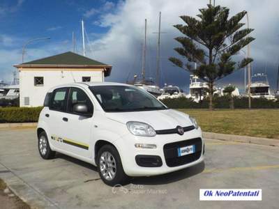 Fiat Panda 1.2 Young Bianco usata Gallipoli