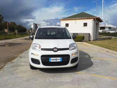 Fiat Panda 1.2 Young Bianco usata Gallipoli
