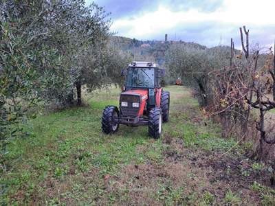 Renault Trucks Trafic Massey Ferguson 394A Executive Rosso usata Milano