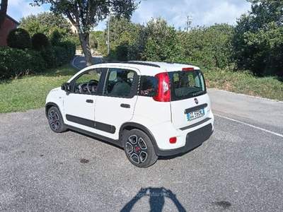 Fiat Panda OCCASIONE Bianco usata Finale Ligure
