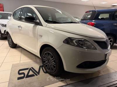 Lancia Ypsilon Ypsilon III  1.2 Silver ecochic Gpl 69cv Bianco usata Crema