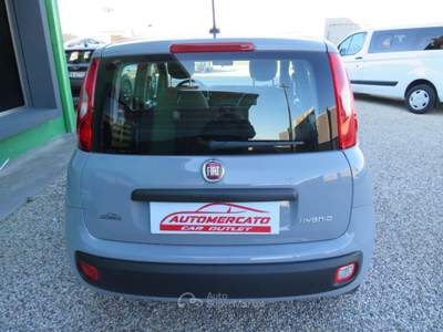 Fiat Panda 1.0 FireFly S&S Hybrid Grigio usata Badia Pol. Via Ca'Mignola Nuo.1230