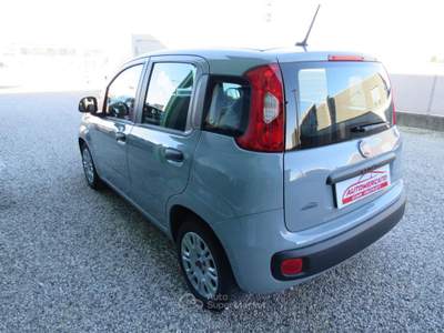 Fiat Panda 1.0 FireFly S&S Hybrid Grigio usata Badia Pol. Via Ca'Mignola Nuo.1230