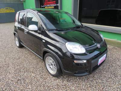 Fiat Panda 1.0 FireFly S&S Hybrid Nero usata Badia Pol. Via Ca'Mignola Nuo.1230