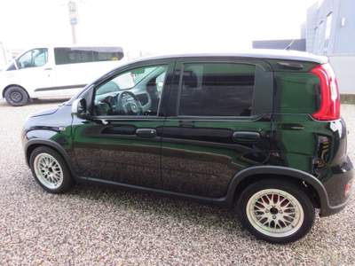 Fiat Panda 1.0 FireFly S&S Hybrid Nero usata Badia Pol. Via Ca'Mignola Nuo.1230
