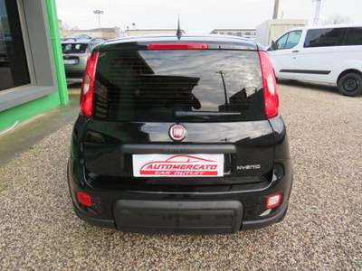Fiat Panda 1.0 FireFly S&S Hybrid Nero usata Badia Pol. Via Ca'Mignola Nuo.1230