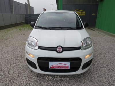 Fiat Panda 1.2 Easy S&S 1200 C.C. Bianco usata Badia Pol. Via Ca'Mignola Nuo.1230