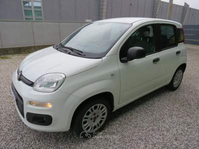 Fiat Panda 1.2 Easy S&S 1200 C.C. Bianco usata Badia Pol. Via Ca'Mignola Nuo.1230