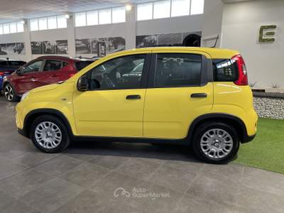 Fiat Panda 1.0 FireFly S&S Hybrid Pandina Giallo usata Cesena