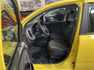Fiat Panda 1.0 FireFly S&S Hybrid Pandina Giallo usata Cesena