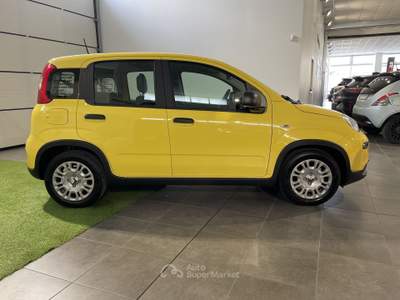 Fiat Panda 1.0 FireFly S&S Hybrid Pandina Giallo usata Cesena