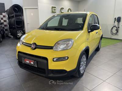Fiat Panda 1.0 FireFly S&S Hybrid Pandina Giallo usata Cesena