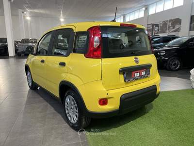 Fiat Panda 1.0 FireFly S&S Hybrid Pandina Giallo usata Cesena