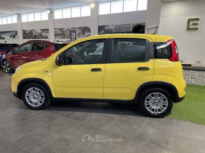 Fiat Panda 1.0 FireFly S&S Hybrid Pandina Giallo usata Occhiobello