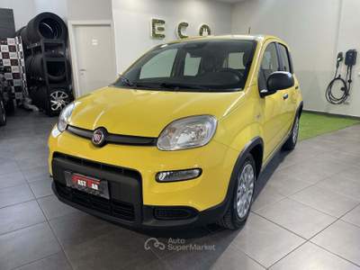 Fiat Panda 1.0 FireFly S&S Hybrid Pandina Giallo usata Occhiobello