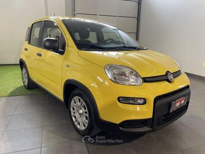Fiat Panda 1.0 FireFly S&S Hybrid Pandina Giallo usata Occhiobello
